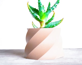 May include: A light pink, geometric, hexagonal planter with a swirling design. A green succulent plant is growing inside the planter.