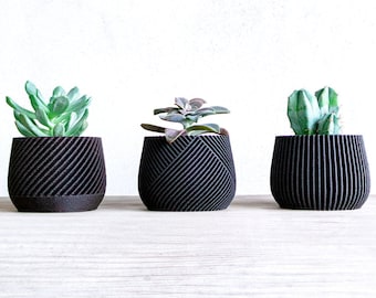 SET Macetas Negras para Suculentas, Juego de 3 Macetas, Macetas para Vivero, Decoración Minimalista para el Hogar, Idea de Regalo, Portalápices, PLA MADERA NEGRA