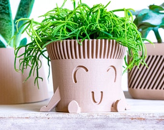 May include: Three potted plants with a white background. The plant in the center is a green succulent in a brown pot with a smiling face. The pot has two small legs on either side. The plant on the left is a green succulent in a brown pot with a wavy design. The plant on the right is a green succulent in a brown pot with a striped design.