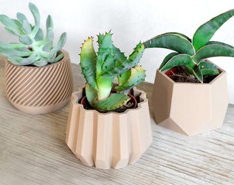Wood succulent planter Wooden succulent planter Small plant pot Confetti planter Scandi design Air pot Modern Minimalist planter