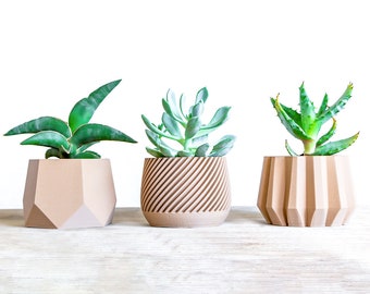 May include: Three potted succulents in geometric planters. The planters are all a light brown color and have different geometric designs. The succulents are all green and have different shapes and sizes.