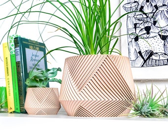 3D Printed Planter for Succulents | Geometric Modern Pot | Small Indoor Cactus Planter