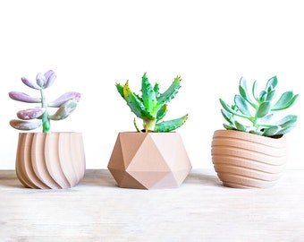 Great Succulent Plant Pot Set | Mothers Day Gift | 3 Small Planter Set | Wood Air plant holder Set | Wood desk planter | Wood Cache Pot