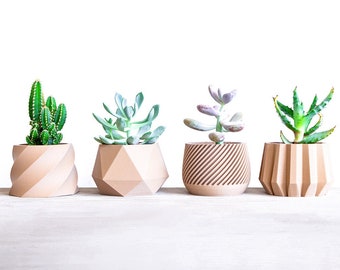 Amazing Set of 4 Plant Pot | Succulent Planter Set | Wood Plant Pot | Desk Planter | Planter Gift