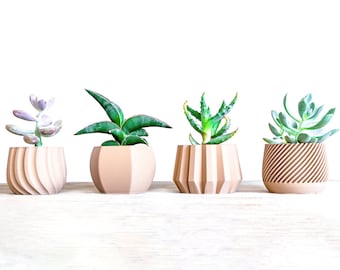 SET Succulent Planter , Succulent Pots Set , Mothers Day Gift , 4 Planter for succulent , Indoor Wood Planter set , Wooden Planter Gift