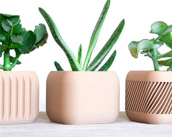 Indoor Scandinavian Plant Pot | Amazing Wood Cache Pot perfect as Plant Lovers Gift | Indoor Succulent Planter
