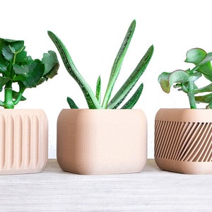 Puede incluir: Tres plantas en macetas en diferentes macetas de cerámica de color marrón claro texturizadas. Las plantas son una suculenta, una planta serpiente y una planta de jade.