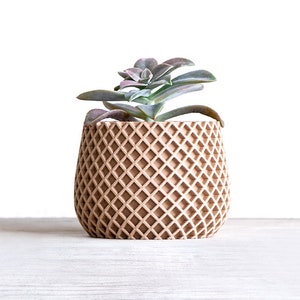 Gorgeous Wood Plant Pot | Succulent Cache Pot | Wood Succulent Planter | Succulent Plant Stand | Wood Desk Planter