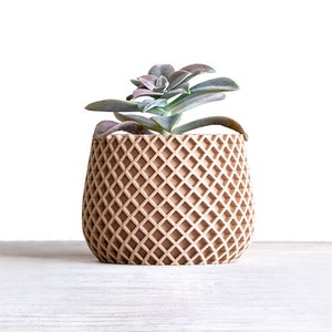 May include: A small succulent plant in a brown ceramic planter with a waffle-like texture.
