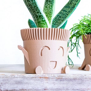 May include: Two potted plants with smiling faces on the pots. The plants are green and the pots are brown.