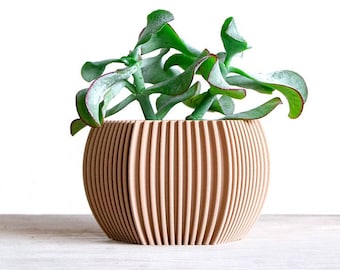 May include: A light brown, round, wooden planter with vertical grooves. A small green succulent plant is growing in the planter.