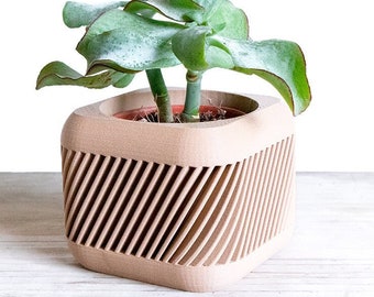 May include: A light brown, square-shaped planter with a geometric pattern, holding a small green succulent plant.