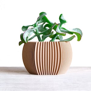 Vase für Pflanzen, Vase für Sukkulenten, Blumenvase, Kinderzimmervasen, Inneneinrichtung, Geschenkidee, Stifthalter, Modell STRIPED DELHI