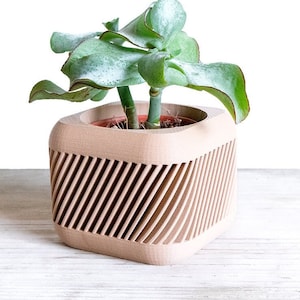 Wonderful Wood Plant Pot | Succulent Cache Pot | Wood Succulent Planter | Wood Succulent Pot | Wood Desk Planter