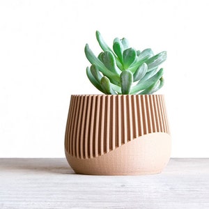 Könnte beinhalten: Ein hellbrauner Keramiktopf mit geripptem Design und einer Sukkulente darin. Der Topf steht auf einer hellbraunen Holzoberfläche.