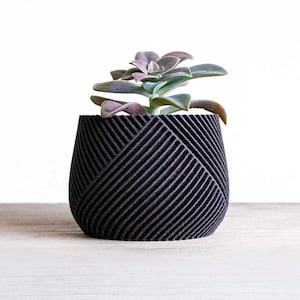 Könnte beinhalten: Eine kleine Sukkulente in einem schwarzen geometrischen Topf mit einem strukturierten, gestreiften Design. Der Topf steht auf einer hellbraunen Holzoberfläche.
