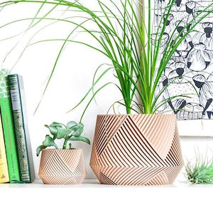 Pflanzentopf, Sukkulententopf, Blumentopf, Kinderzimmertöpfe, Wohndekor, Geschenkidee, Stifthalter, Modell LIMA, 3D-Druck