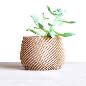Wood Cache Pot | Wood Plant Pot | Succulent Plant Stand | Succulent desk planter | Wood Air plant holder | Wooden Vase