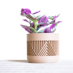 May include: A potted plant with purple and green leaves in a light brown planter with a geometric pattern.