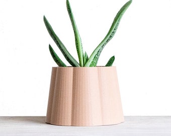 May include: A small succulent plant with green leaves growing in a light pink ceramic pot with a fluted design. The pot is sitting on a light wood surface.