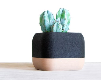 Bicolor Indoor Plant Pot | Wood Succulent Planter | Succulent Cache Pot |  Wood Succulent Pot | Wood Desk Planter