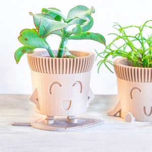 Cute Plant Pot | Cute Planter | Original Cache Pot | Plant Lover Gift | Wood Succulent Planter