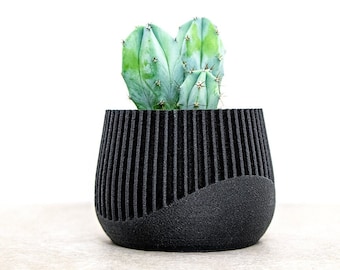 Maceta, Maceta Suculenta, Maceta, Macetas de Vivero, Decoración del Hogar, Idea de Regalo, Portalápices, modelo SAMANA' BLACK EBONY