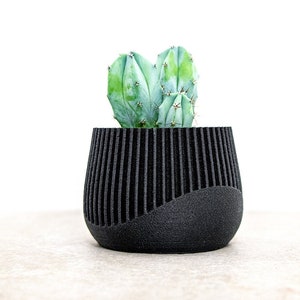 Può includere: Una piccola pianta di cactus con foglie verdi in un vaso cilindrico nero testurizzato.