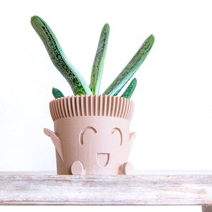 May include: A light brown ceramic planter with a smiling face and small legs, holding a green succulent plant.