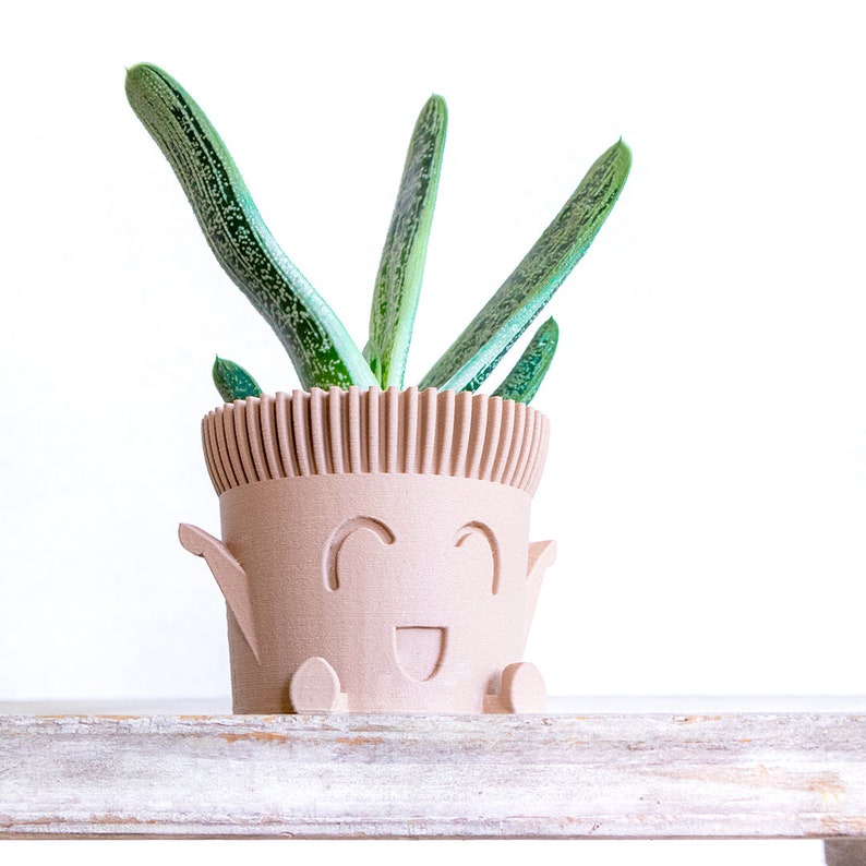 May include: A light brown ceramic planter with a smiling face and small legs, holding a green succulent plant.