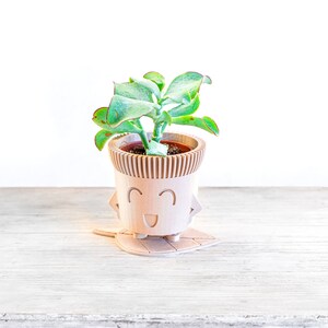 May include: A small succulent plant in a wooden planter with a smiling face. The planter is sitting on a wooden leaf-shaped base.