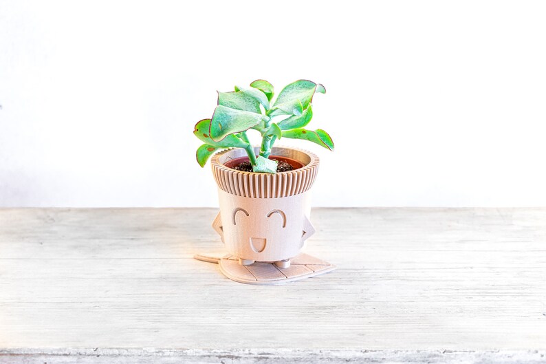 May include: A small succulent plant in a wooden planter with a smiling face. The planter is sitting on a wooden leaf-shaped base.