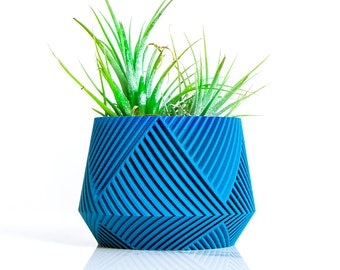May include: A blue geometric planter with a green air plant inside. The planter has a textured, striped design.