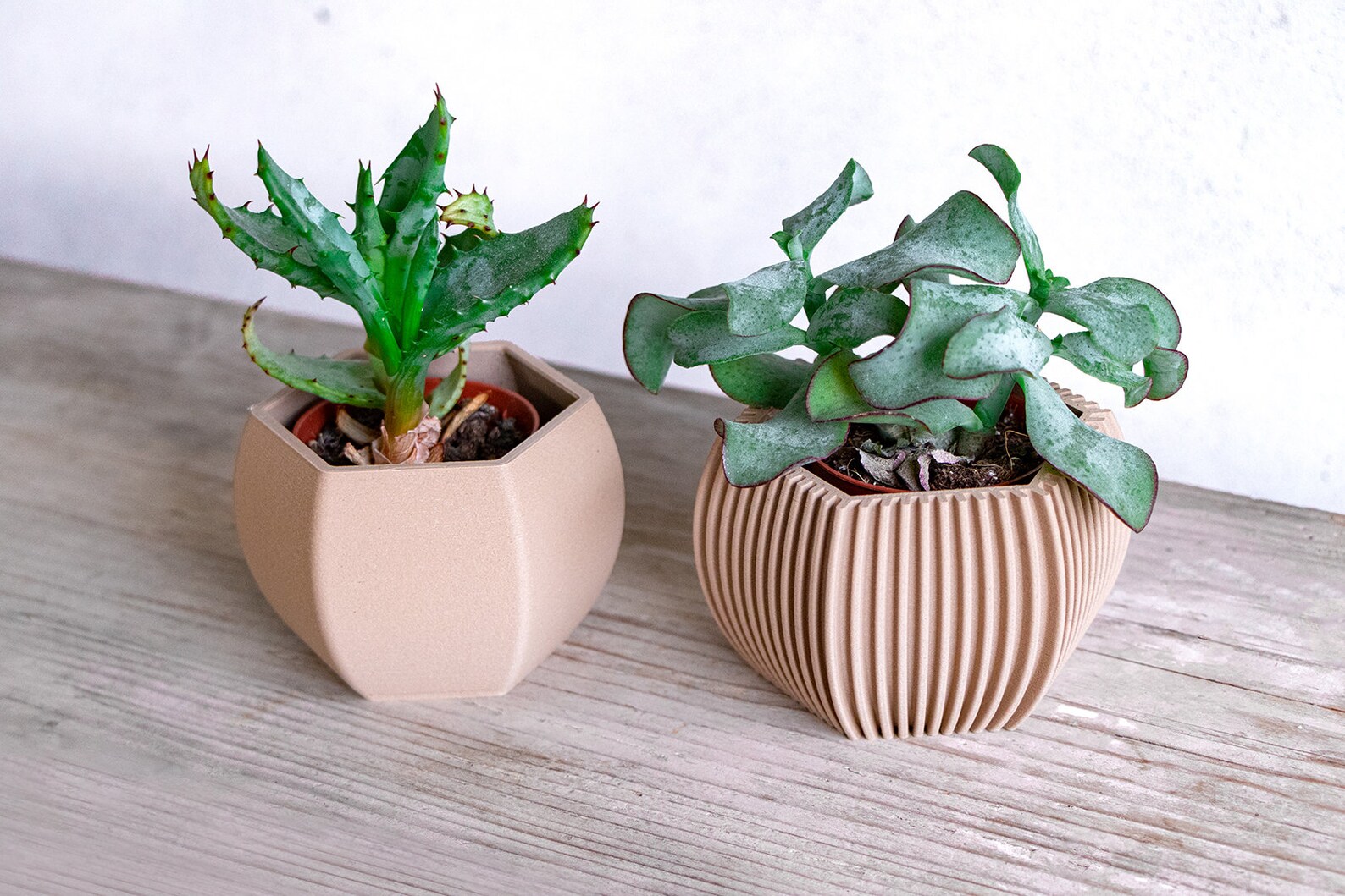 Nice Plant Pot Set Mothers Day Gift 2 Small Planter Set Etsy