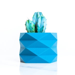 Pode incluir: Um vaso geométrico azul com uma planta de cacto dentro. O vaso tem um padrão de diamante e é feito de um material liso.