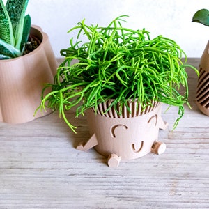May include: A green succulent plant in a brown ceramic pot with a smiling face. The pot has a textured surface and is shaped like a cartoon character.