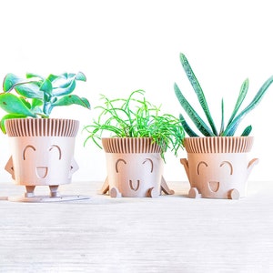 May include: Three small potted plants in brown ceramic pots with happy faces. The pots have small legs and arms. The plants are green and leafy.