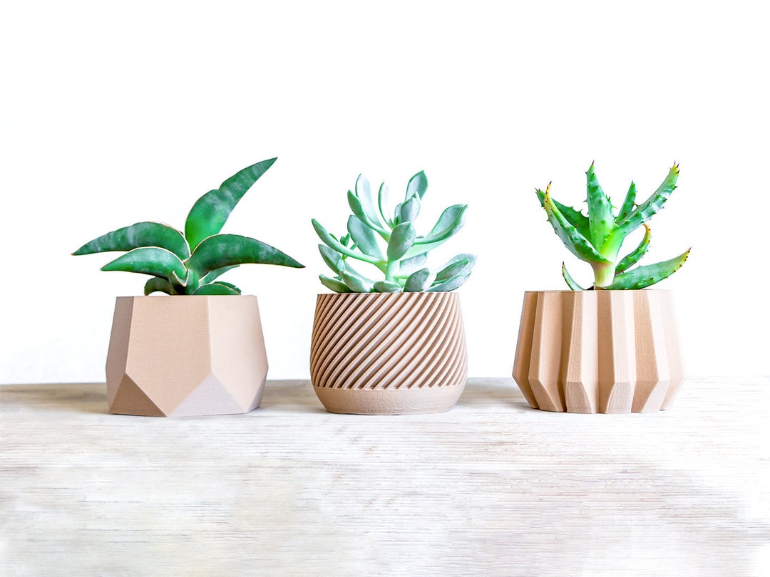 Nice Plant Pot Set 3 Small Planter Set Wooden Vase Set Etsy