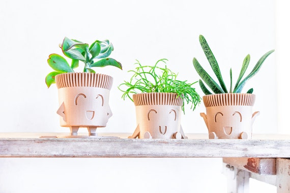 SET Pots pour plantes succulentes, Ensemble de 3 pots pour plantes, Pots de  pépinière, Décoration intérieure minimale, Idée cadeau, Porte-stylo, Pla  WOOD, Impression 3D -  France