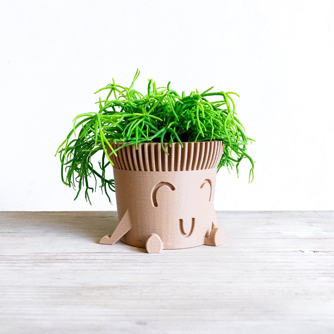 Cute Plant Pot Set of 3 Cute Planter Original Cache Pot Etsy