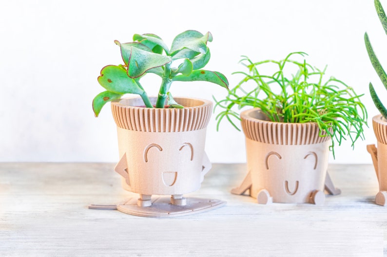 May include: Three small wooden plant pots with smiling faces. The pots are brown and have a textured surface. The plants are green and leafy.