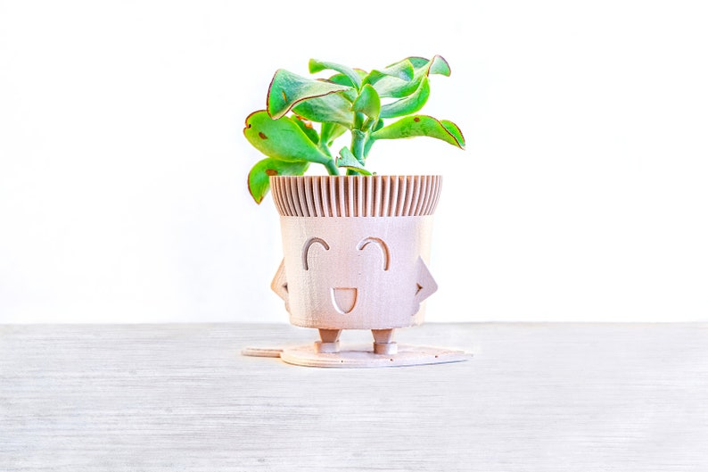 May include: A wooden planter shaped like a smiling face with arms and legs, holding a small green succulent plant.