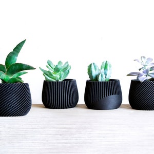 Beautiful Set of 4 Black Planter | Succulent Planter Set | Wood Plant Pot | Desk Planter | Planter Gift