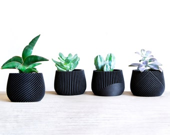 SET Macetas para suculentas, Juego de 4 macetas, Macetas para vivero, Decoración minimalista para el hogar, Idea de regalo, Portalápices, Pla BLACK WOOD