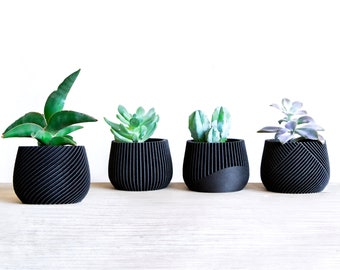 Beautiful Set of 4 Black Planter | Succulent Planter Set | Wood Plant Pot | Desk Planter | Planter Gift