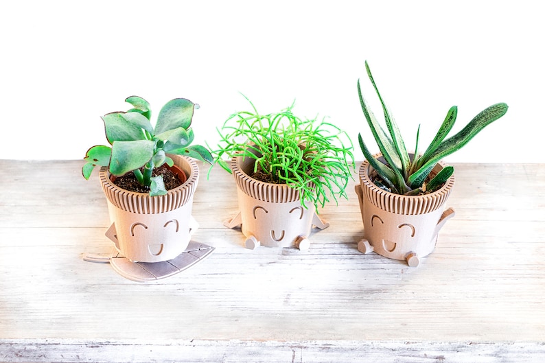 May include: Three small potted plants with smiling faces on their pots. The plants are in different types of pots and have different types of leaves.