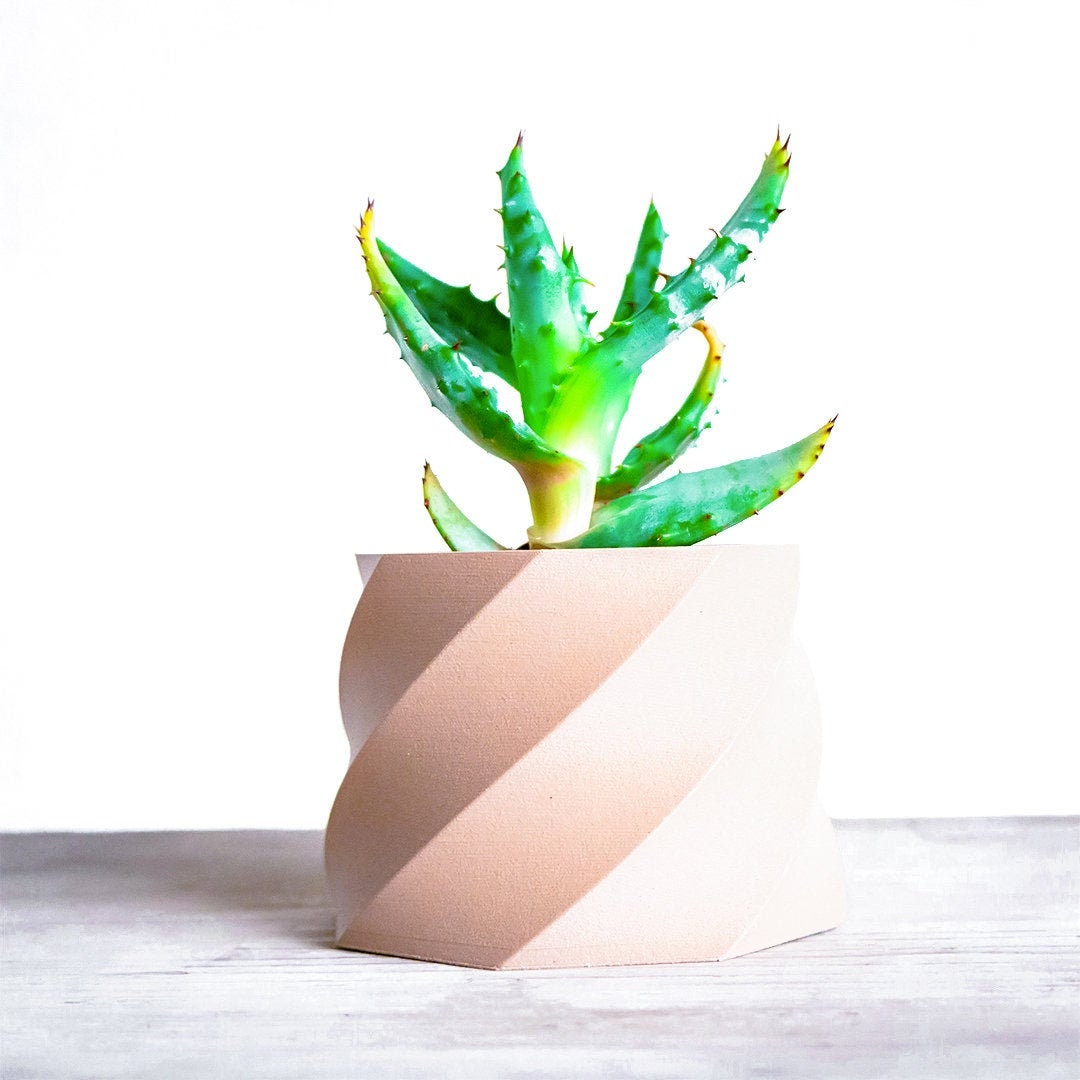 Sosoport Vaso Per Piante Grasse Vaso Creativo in Ceramica Fioriera Da Scrivania Per Fiori e Cactus Decorazione Per Casa e Ufficio
