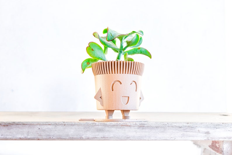 May include: A light brown, wooden planter shaped like a smiling face with a green succulent plant inside. The planter has two small legs and arms.