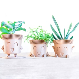 May include: Three small potted plants in brown ceramic pots with happy faces. The pots have small legs and arms. The plants are green and leafy.