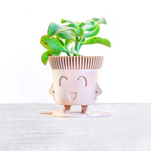 May include: A wooden planter shaped like a smiling face with arms and legs, holding a small green succulent plant.
